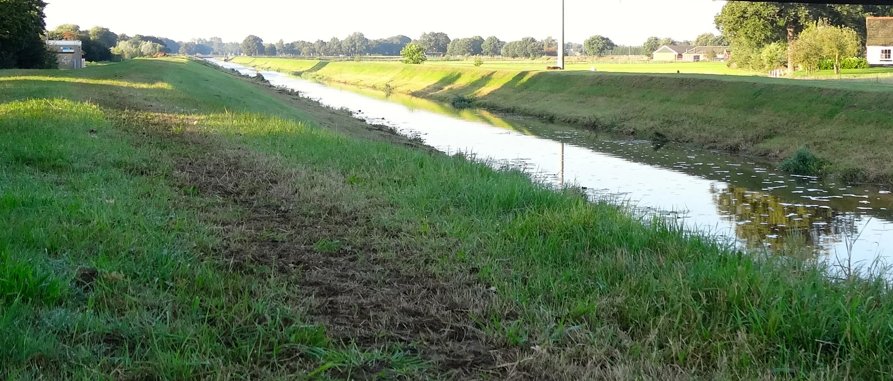 Open weidelandschap langs het Ommerkanaal met boerderijen en een bomenrij aan de horizon